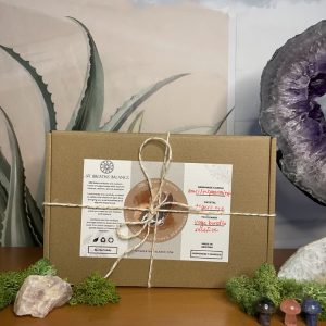 Transitions, Milestones + New Beginnings Smudge Kit - SBB